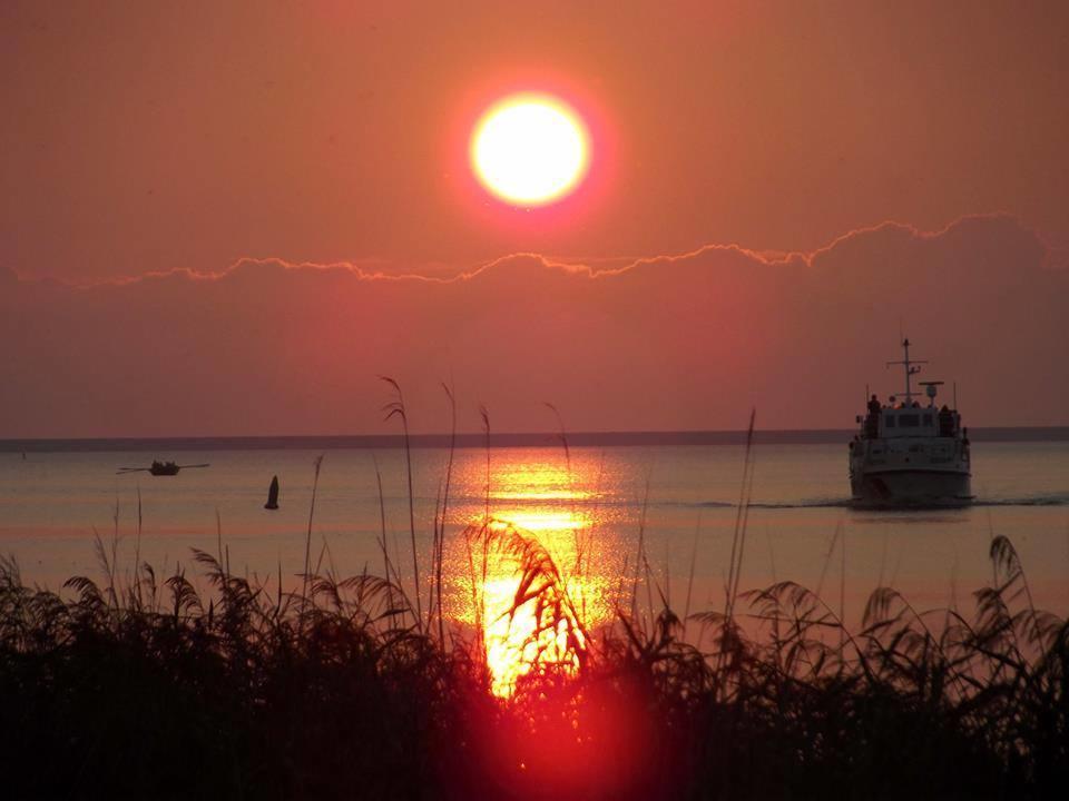 Vakantie Chalet Makkum Eksteriør bilde